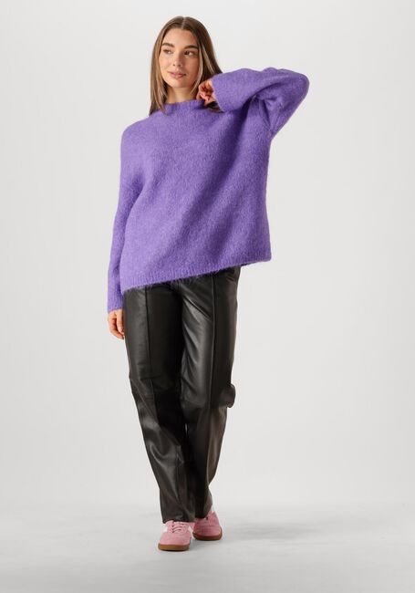 Paarse SELECTED FEMME Trui SLFGABELLA LS KNIT O-NECK CAMP - large