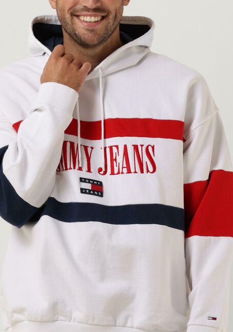Multi TOMMY JEANS Sweater TJM SKATER ARCHIVE BLOCK HOODIE - large