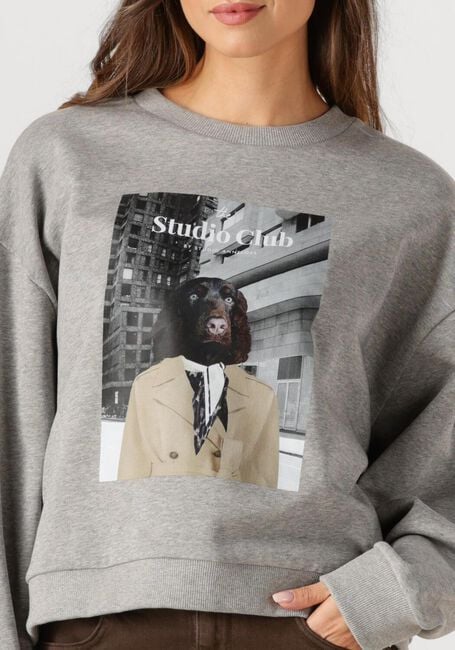 Grijze STUDIO ANNELOES Sweater CHARLIE SWEATER - large