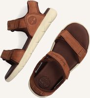 Bruine TIMBERLAND Platte sandalen NUBBLE SANDAL LTHR 2 STRAP Bruine TIMBERLAND Platte sandalen NUBBLE SANDAL LTHR 2 STRAP - medium