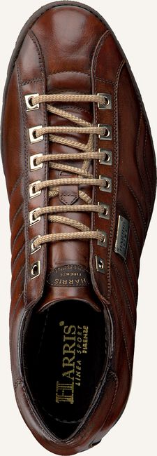 Cognac HARRIS Lage sneakers 5339 Cognac HARRIS Lage sneakers 5339 - large