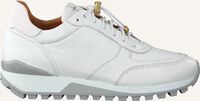 Witte VIA VAI Lage sneakers LYNN RIVE - medium