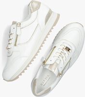 Witte HASSIA Lage sneakers PORTO - medium
