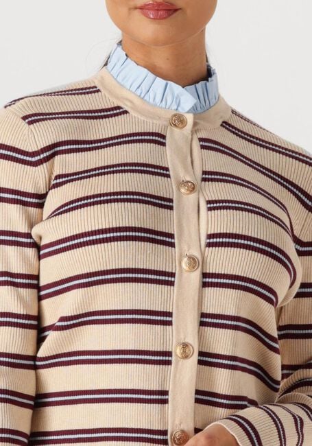 Creme AMAYA AMSTERDAM Top NIA - large