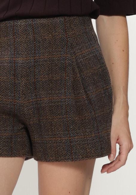 Bruine BRUUNS BAZAAR Korte broek ARONIABBNADINO SHORTS - large