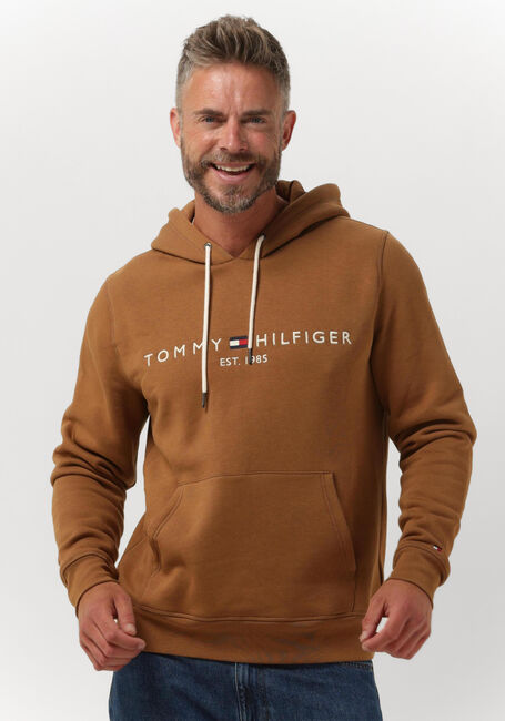 Bruine TOMMY HILFIGER Sweater TOMMY LOGO HOODY - large