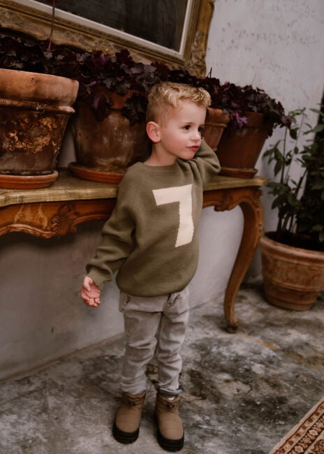 Groene DAILY7 Trui KNITTED SWEATER DIALY7 Groene DAILY7 Trui KNITTED SWEATER DIALY7 - large