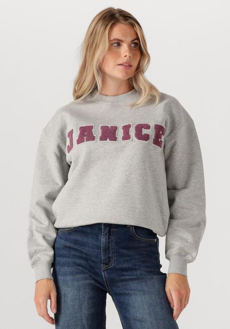 Grijze JANICE Sweater ANDY - large