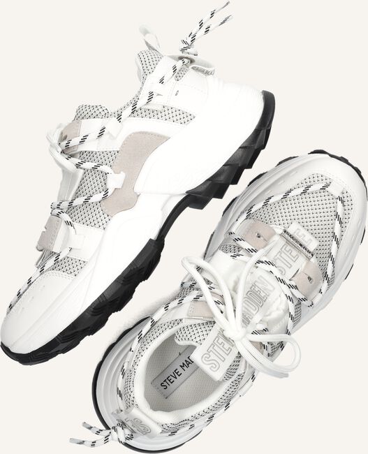 Witte STEVE MADDEN Lage sneakers TAZMANIA Witte STEVE MADDEN Lage sneakers TAZMANIA - large