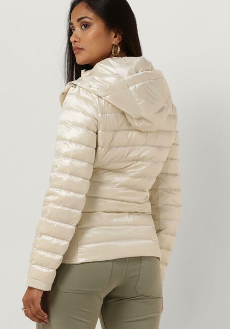 Witte BEAUMONT Jack DEVI - large
