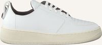 Witte EKN FOOTWEAR Lage sneakers ARGAN LOW SUTRI DAMES - medium