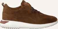 Cognac MAZZELTOV Lage sneakers 3955 - medium