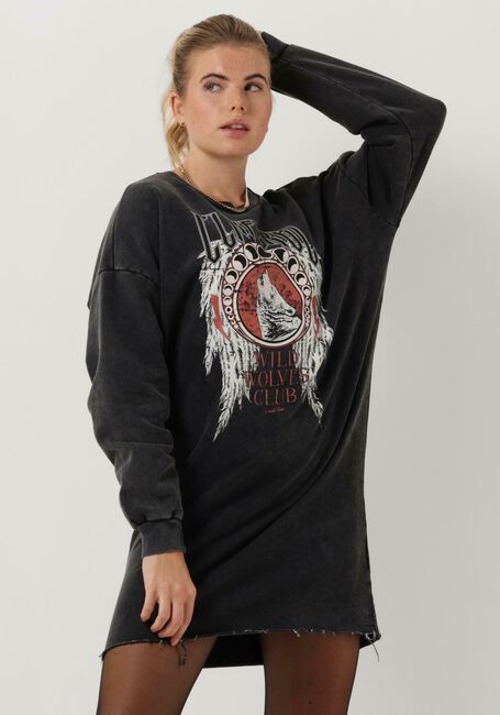 Grijze COLOURFUL REBEL Mini jurk WOLVES CLUB ACID WASH DROP. SH. SWEAT DRESSIO - large