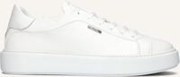 Witte ANTONY MORATO Lage sneakers MMFW01666 Witte ANTONY MORATO Lage sneakers MMFW01666 - medium