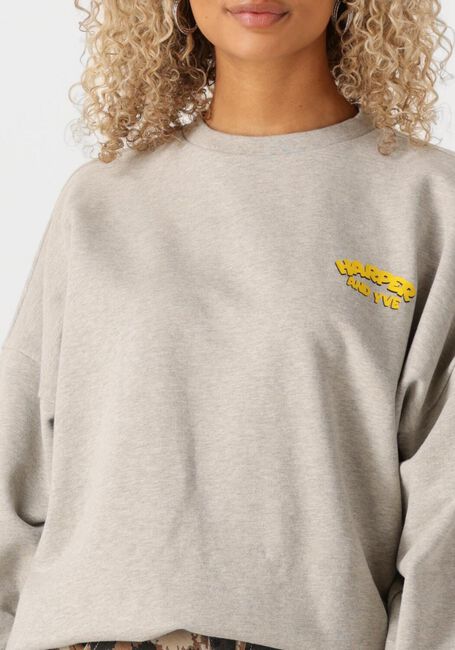 Grijze HARPER & YVE Sweater ROLLTHEDICE-SW - large