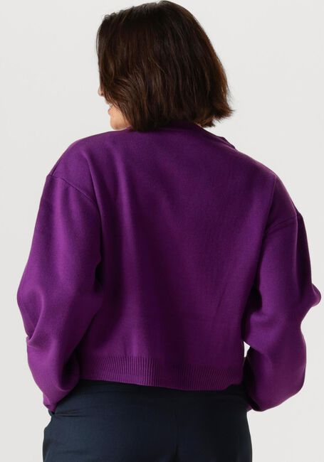 Paarse REFINED DEPARTMENT Sweater TIFFANY - large