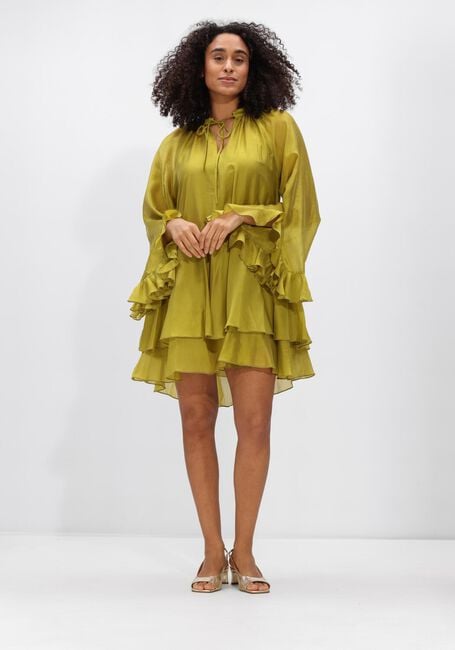 Groene DEVOTION Jurken SHEEN - large