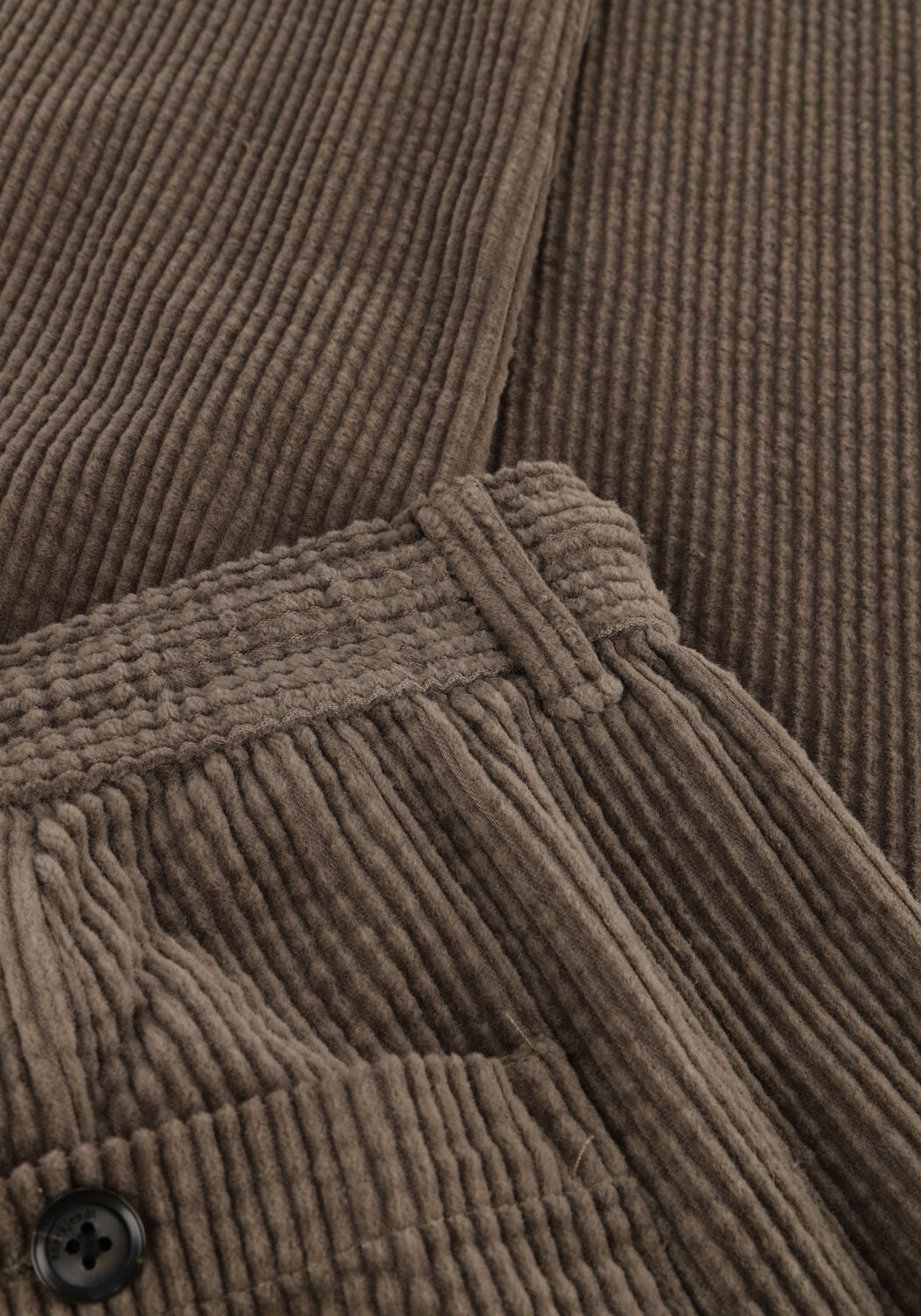 Groene ANERKJENDT Chino AKJAN CORD PLEAT PANTS - large