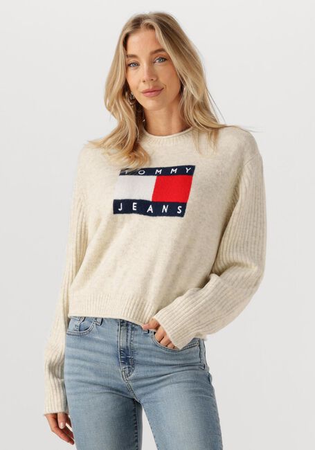 Ecru TOMMY JEANS Trui TJW MELANGE FLAG SWEATER RIB EXT - large