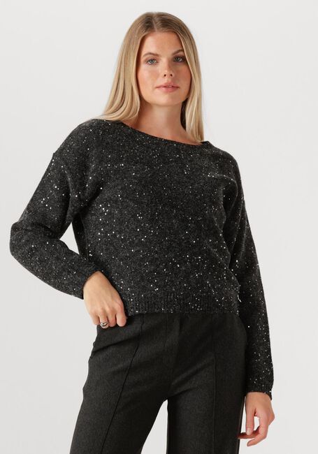 Donkergrijze JANSEN AMSTERDAM Trui ANOUK TRUI HK 151 ROUND NECKLINE - large