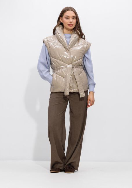 Taupe DANTE6 Bodywarmer LEVIT WAISTCOAT - large