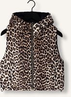 SUNCOO DAZZLE SUNCOO DAZZLE - medium
