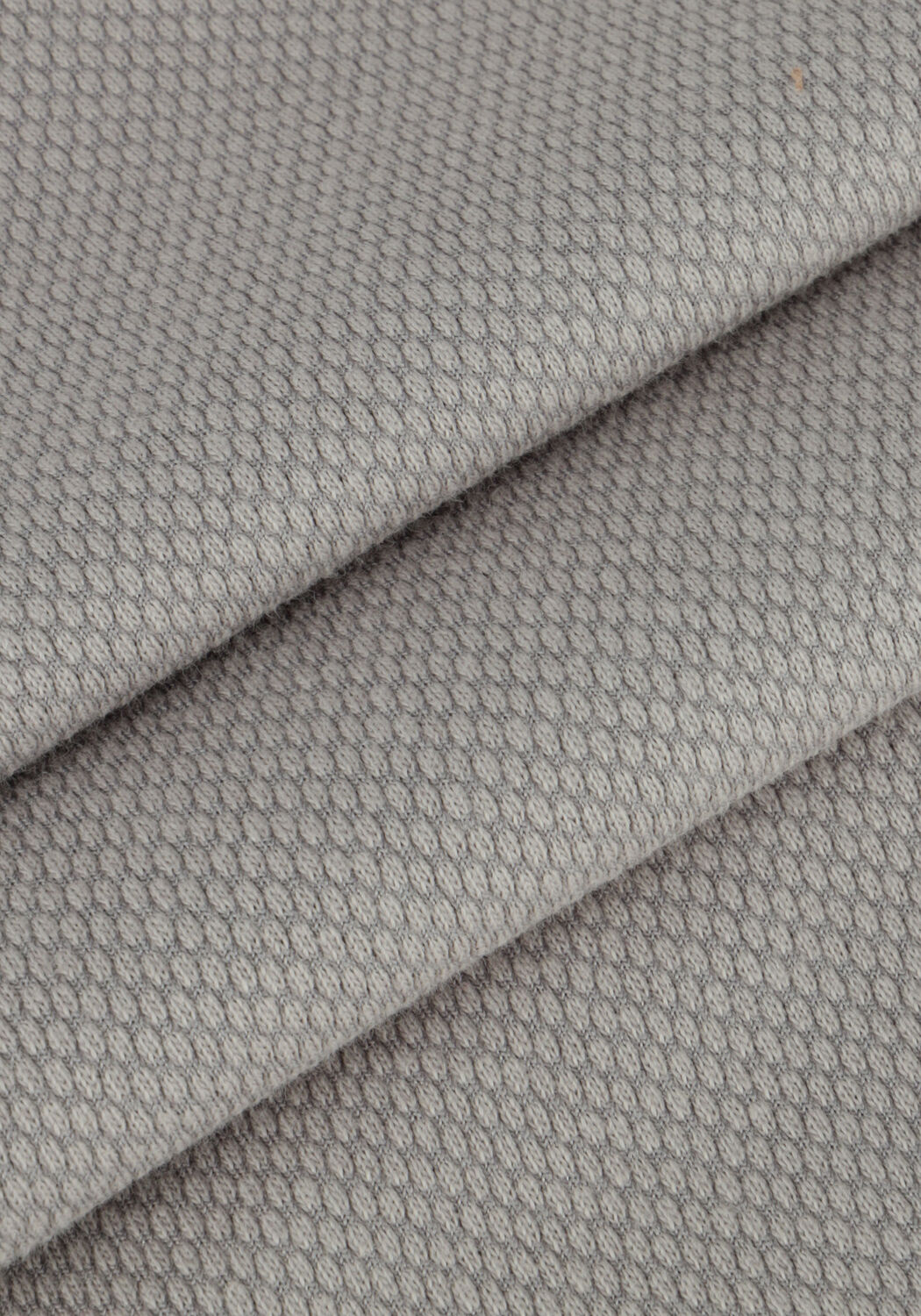 Grijze RAIZZED T-shirt HALLS - large