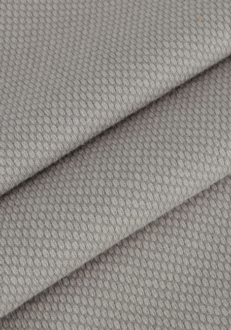 Grijze RAIZZED T-shirt HALLS - large