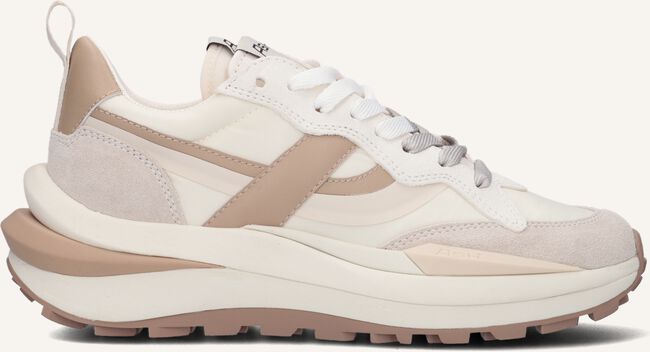 Beige ASH Lage sneakers SPIDER Beige ASH Lage sneakers SPIDER - large