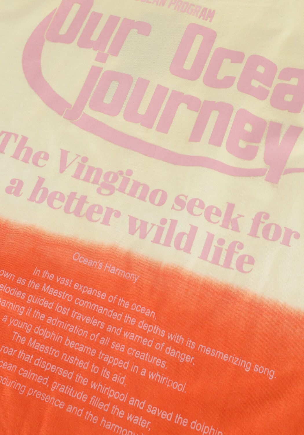 Ecru VINGINO T-shirt HENDER - large