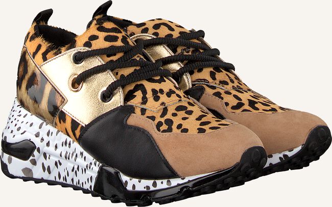 Bruine STEVE MADDEN Lage sneakers CLIFF SNEAKER Bruine STEVE MADDEN Lage sneakers CLIFF SNEAKER - large