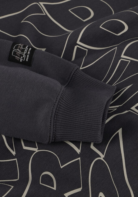 Grijze RAIZZED Sweater NOBY - large