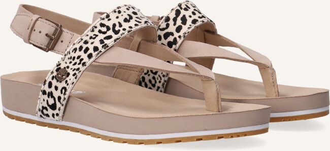Beige TIMBERLAND Platte sandalen MALIBU WAVES THONG Beige TIMBERLAND Platte sandalen MALIBU WAVES THONG - large