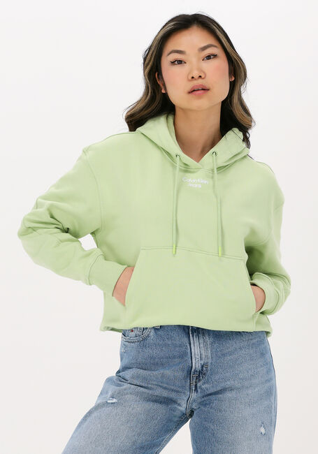 Groene CALVIN KLEIN Sweater STACKED LOGO HOODIE - large