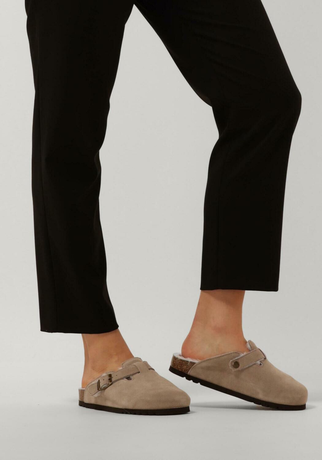 Beige SCHOLL Clogs FAE Omoda