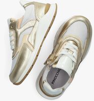 Gouden PINOCCHIO P1447 Lage sneakers - medium