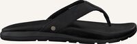 Zwarte UGG Teenslippers TENOCH LUXE - medium