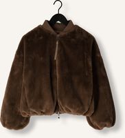 Bruine BEAUMONT Jack MAX Bruine BEAUMONT Jack MAX - medium