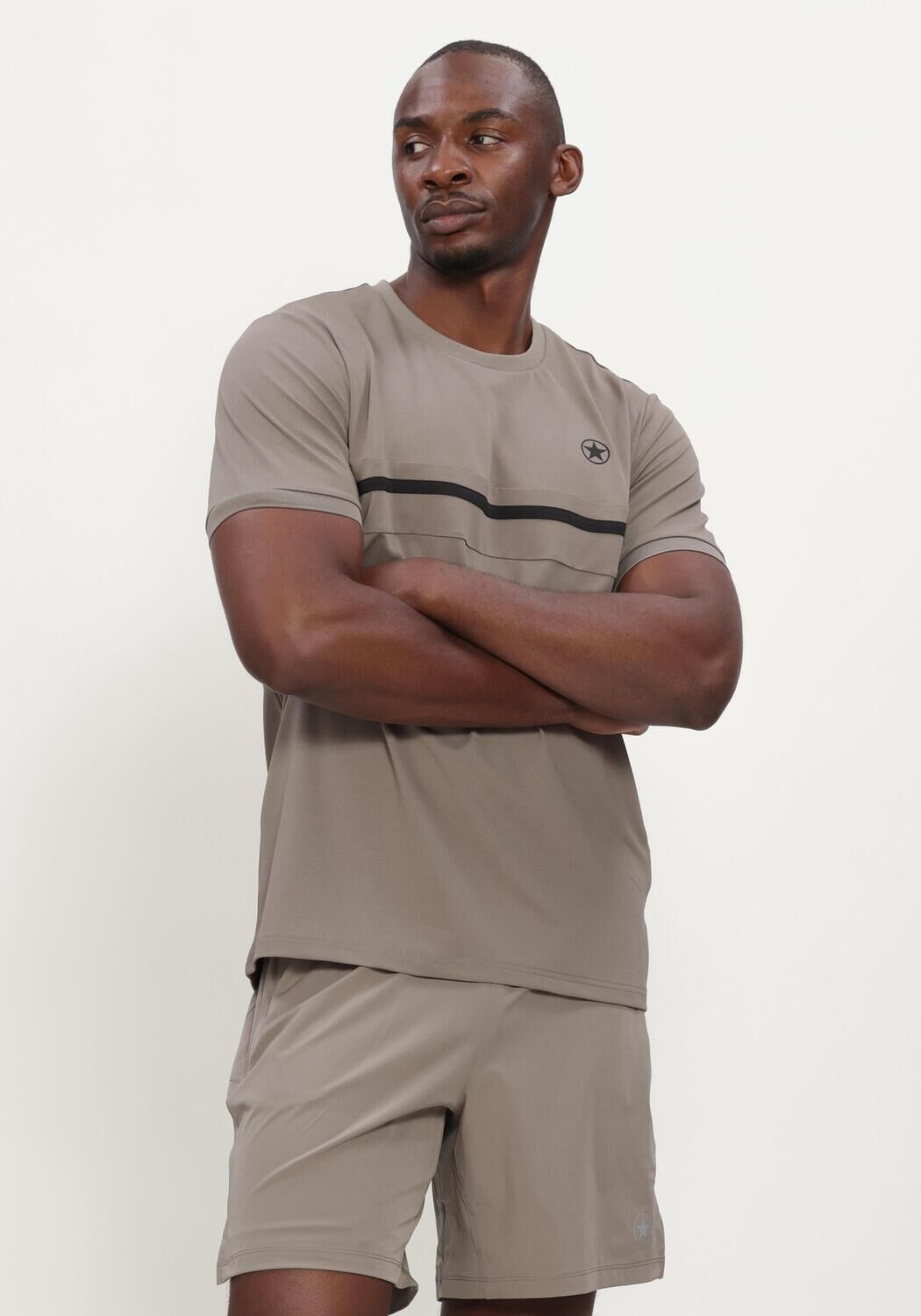AIRFORCE Heren Polo's & T-shirts Nova Stipe T-shirt Taupe