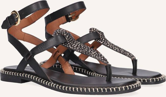 Zwarte MARUTI Platte sandalen AZIZA Zwarte MARUTI Platte sandalen AZIZA - large