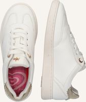 MEXX PROXY PAGE MEXX PROXY PAGE - medium