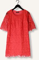 Rode ANA ALCAZAR Midi jurk DRESS SLEEVES 041092-3634 Rode ANA ALCAZAR Midi jurk DRESS SLEEVES 041092-3634 - medium
