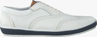 Witte FLORIS VAN BOMMEL Sneakers 19036 - medium