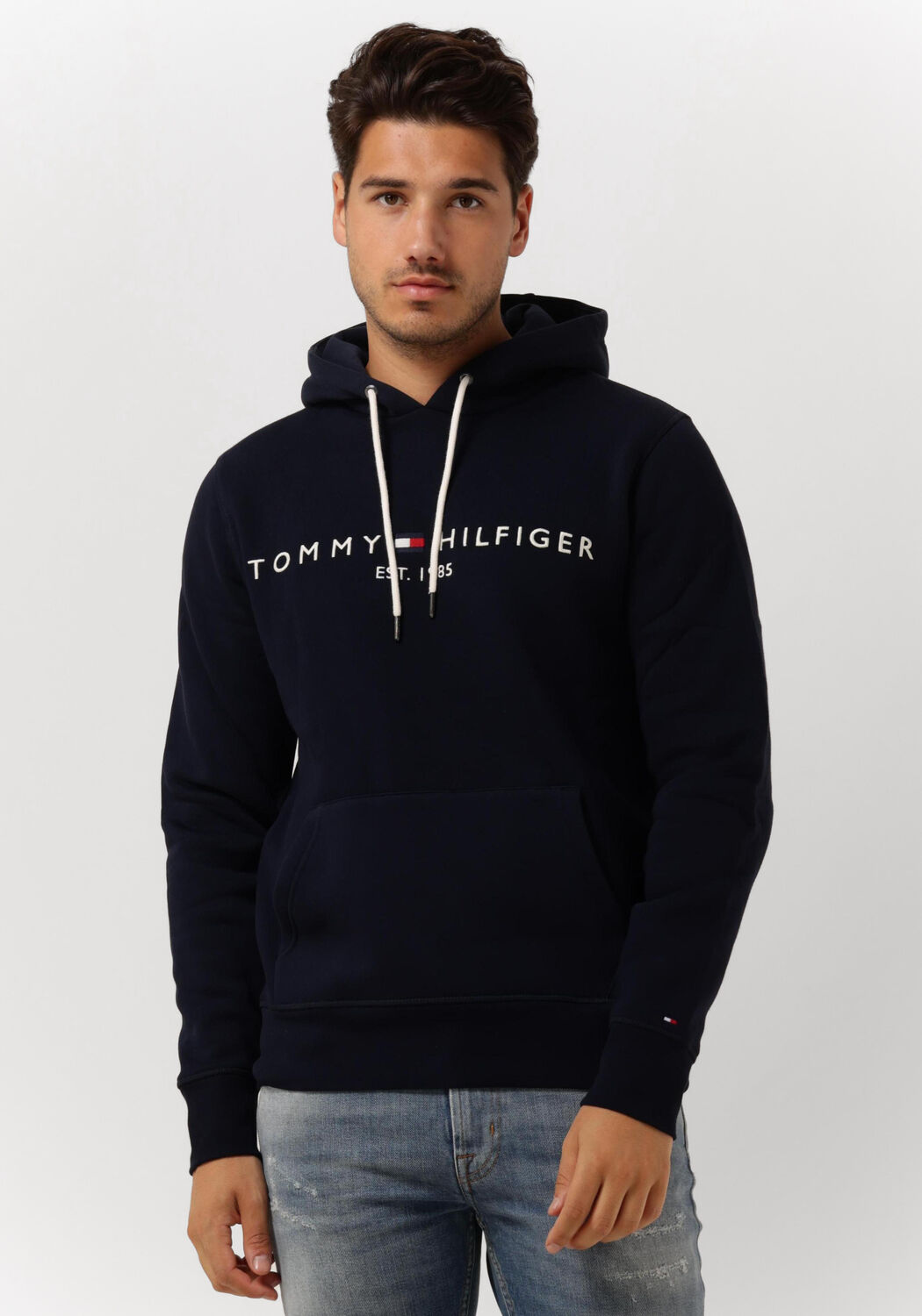 Tommy hilfiger sweater 2025 grijs