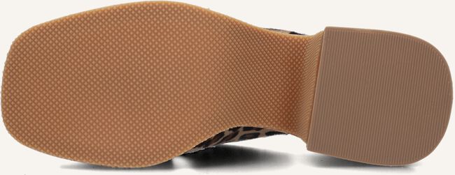 Bruine NOTRE-V Muiltjes 989001 Bruine NOTRE-V Muiltjes 989001 - large