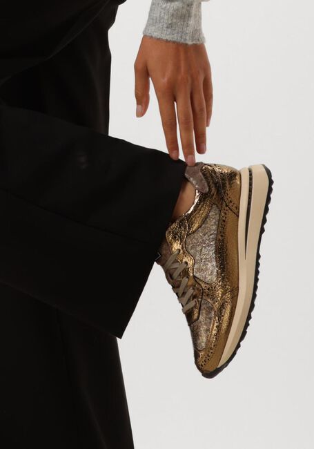 Gouden FLORIS VAN BOMMEL Lage sneakers SUMI 07.08 Gouden FLORIS VAN BOMMEL Lage sneakers SUMI 07.08 - large