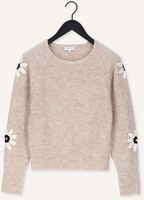 Grijze FABIENNE CHAPOT Trui ODILLIA PULLOVER Grijze FABIENNE CHAPOT Trui ODILLIA PULLOVER - medium