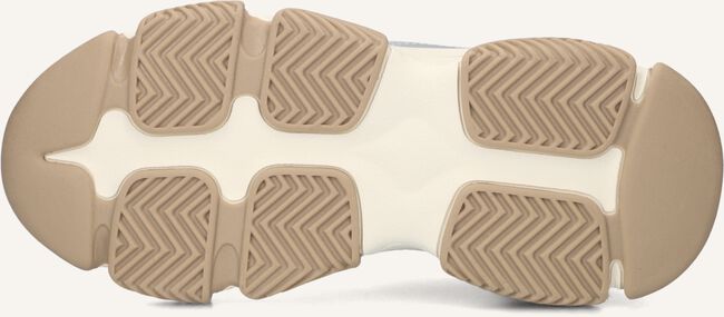 Beige STEVE MADDEN Lage sneakers PROGRESSIVE Beige STEVE MADDEN Lage sneakers PROGRESSIVE - large