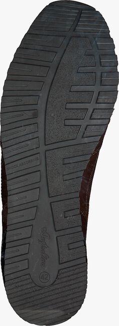 Bruine AUSTRALIAN Lage sneakers CONDOR - large