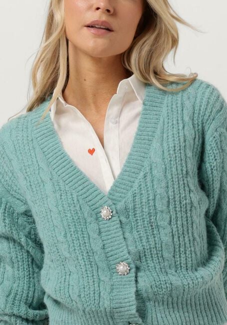 Lichtblauwe YDENCE Vest CARDIGAN PLIEN - large
